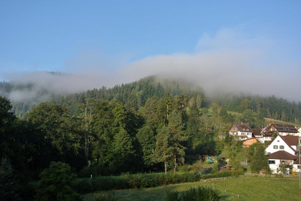 Enz Residenz Hotel Enzklösterle Buitenkant foto