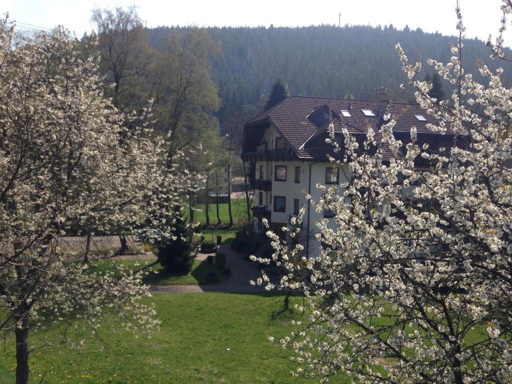 Enz Residenz Hotel Enzklösterle Buitenkant foto